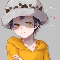 law 5t