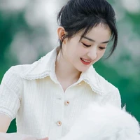 Triệu lệ Dĩnh (Triệu Tổng)