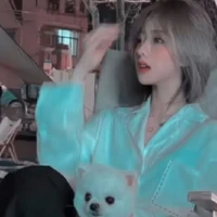 nguyễn y/n