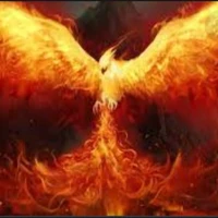 Phượng hoàng( thần thú)