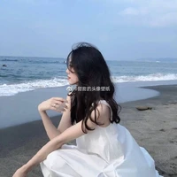 Trần Linh Chi