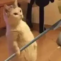 all