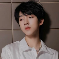 Hạ Tuấn Lâm (Mẹ Anh)