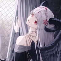 Hikari kyoka
