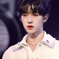 Hạ Tuấn Lâm
