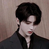 Hàn Tử Thần Nam