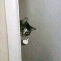 tg cần được giải cứu