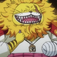 neko murashi