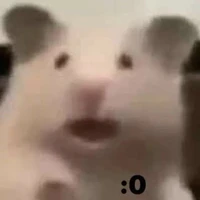 t/g ngáo tó ây muốn hết thì hãy like đuy