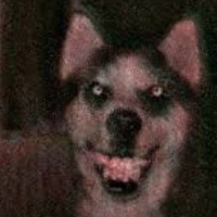 Smile Dog