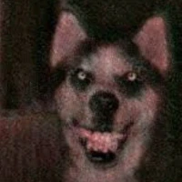 Smile Dog