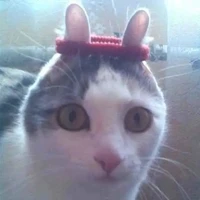 tg đêpk trai/gái xiu cấp zũ trụ