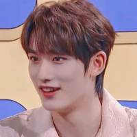 Ding ChengXin