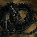 Hắc long