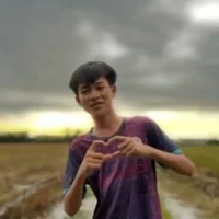 LTT