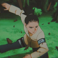 Nara Shikadai
