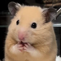 Mee