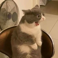 tác giả siuuuuuuuuuuuuuuu dễ thương