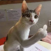 Tác giả đần độn