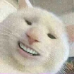 Ad