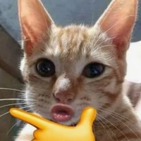 Hoàng Ngọc Meow (pé meow)