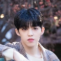 S.Cuops ( Seventeen )