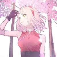 Sakura