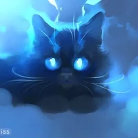 Hệ thống 207 (Tiểu hắc)