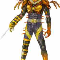 Yami hệ bọ