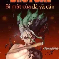 • Ishigami Senku •