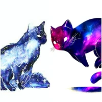 siry&ceal