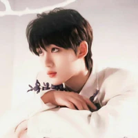 Đinh Trình Hâm