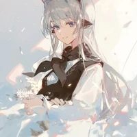 T/g ( Rin )