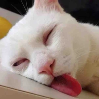 Quỷ