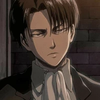 levi