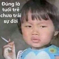 hai hệ thống