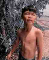 Nhã ngáo