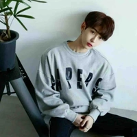 Ngựa_đeptrai