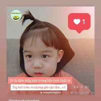 Tui là tác giả đây