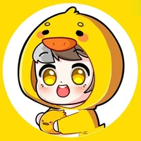 Mister Vịt ( Hoài Việt )