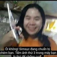 mèo simmy~símmỳ