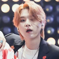 Min Yoongi ( anh rễ nàng )