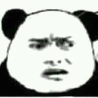 Y/N