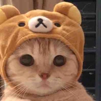 Mèo