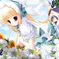 Lisa san 