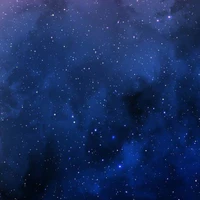 Các Nhân Cách Của Satoshi