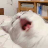 tác giả