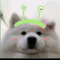 Phước Lộc GM