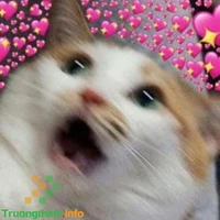 me