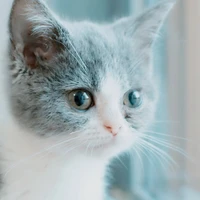 Tác giả hết sida:3